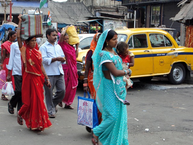 Free India Travel photo and picture