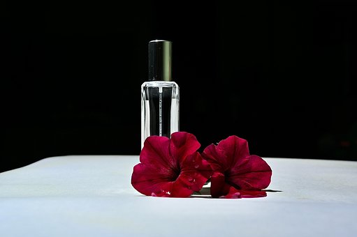 Free Perfume Fragrance photo and picture