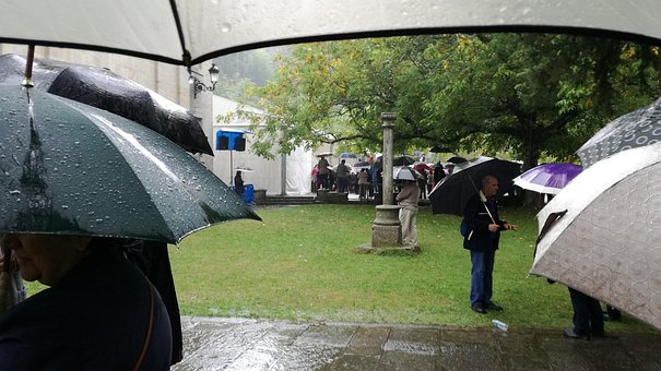 Free Lluvia Campo photo and picture