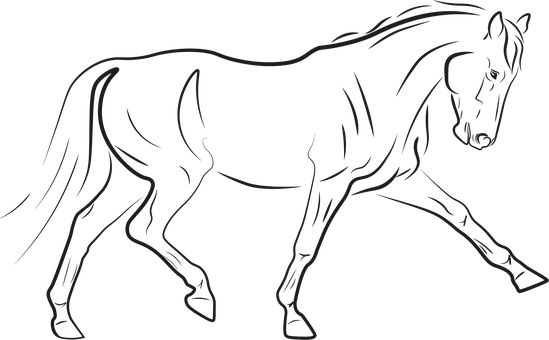 Pferd, Hengst, Pferde, Tier, Linie Kunst
