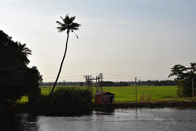 Free Backwaters India photo and picture