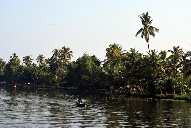 Free Backwaters India photo and picture