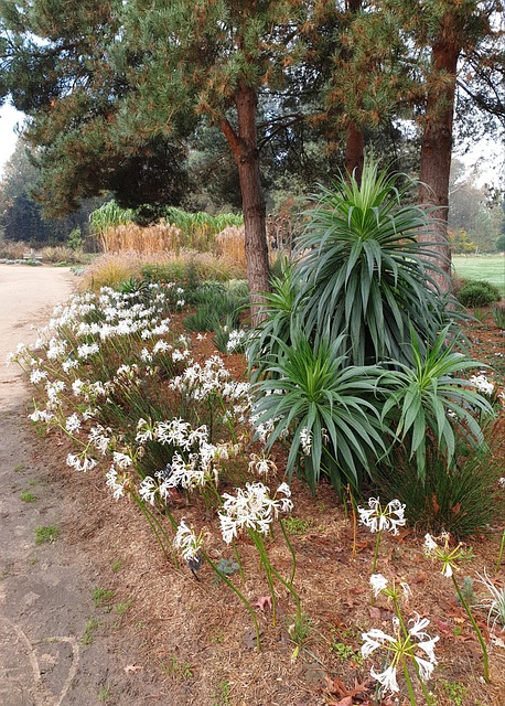 Anglia, Wisley, Rhs, Botanic