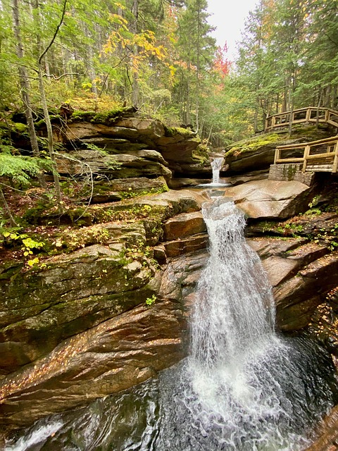 Free Waterfall River photo and picture