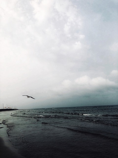Sea Beach Coast - Free photo on Pixabay - Pixabay