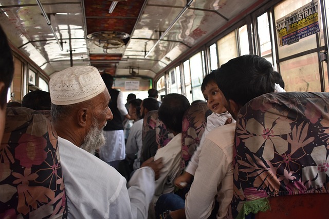 Free Bus Children photo and picture