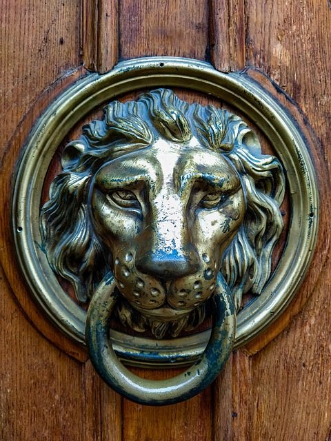 Free Leo Lions photo and picture