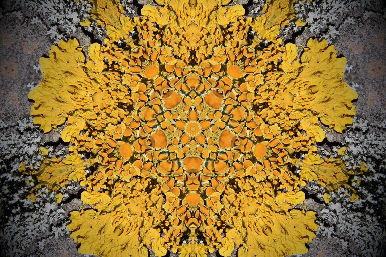 Download Rosette Mandala Wallpaper Royalty-Free Stock Illustration
