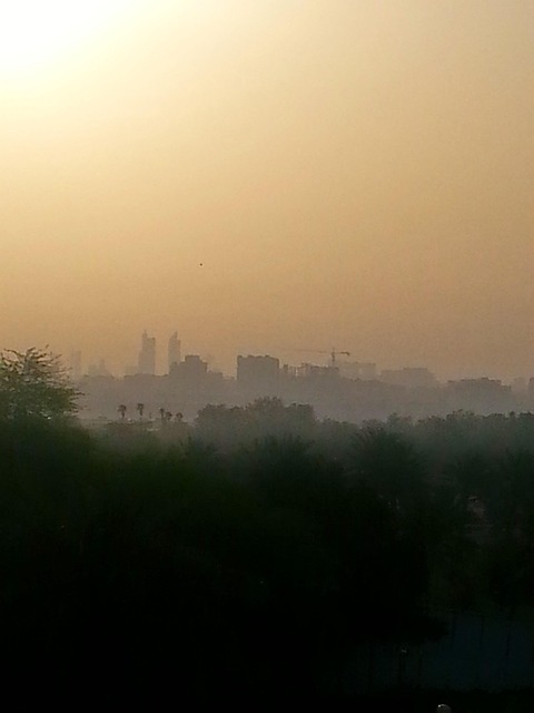 Free Skyline Haze photo and picture