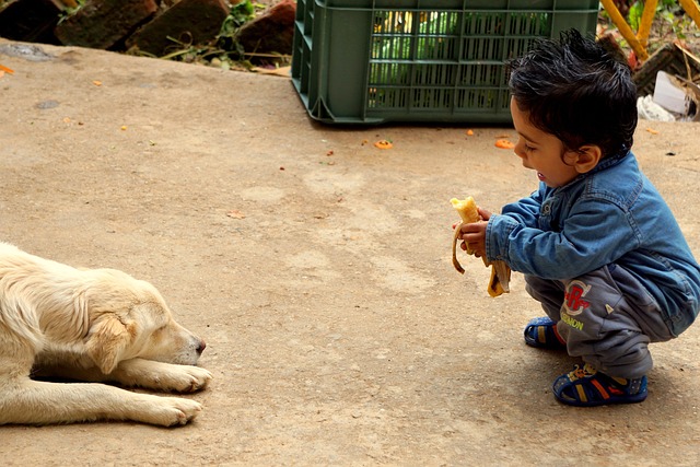 Free Nepal Portrait photo and picture