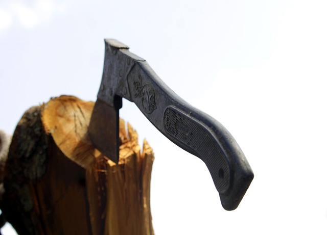 Free Axe Tool photo and picture