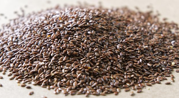 Free Flax Seeds photo and picture