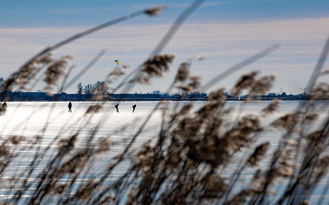 Free Winter Nature photo and picture