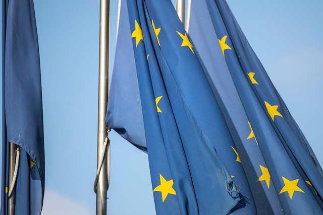 Free Flags Symbol photo and picture