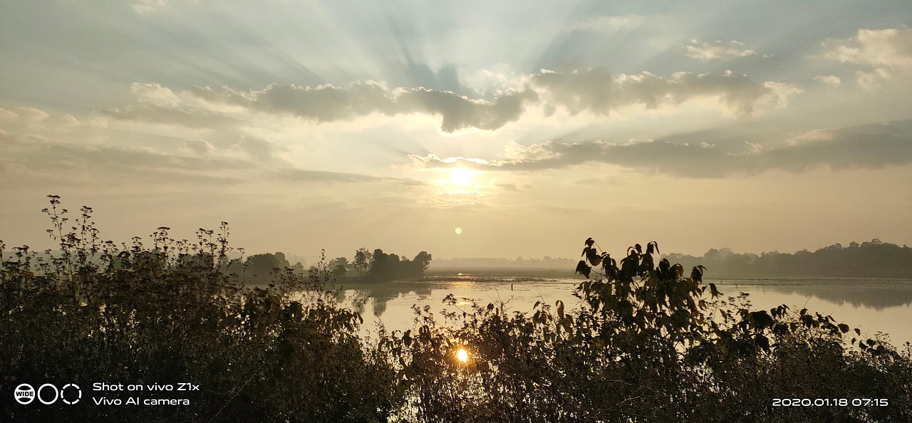 Sun-Rays Morning Natural - Free photo on Pixabay - Pixabay
