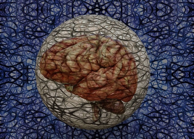 Free brain anatomy wisdom illustration