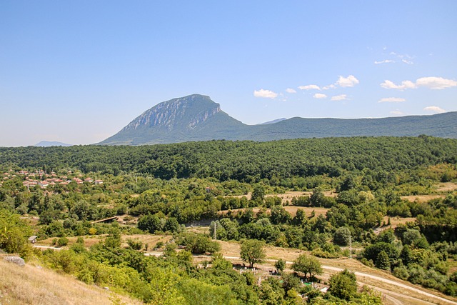 Free Mountain Forest photo and picture