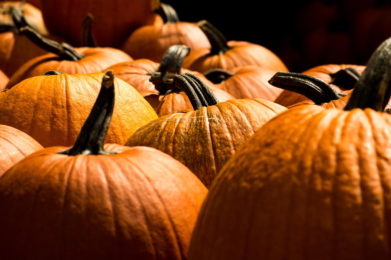 Pumpkins - free online jigsaw puzzle photo
