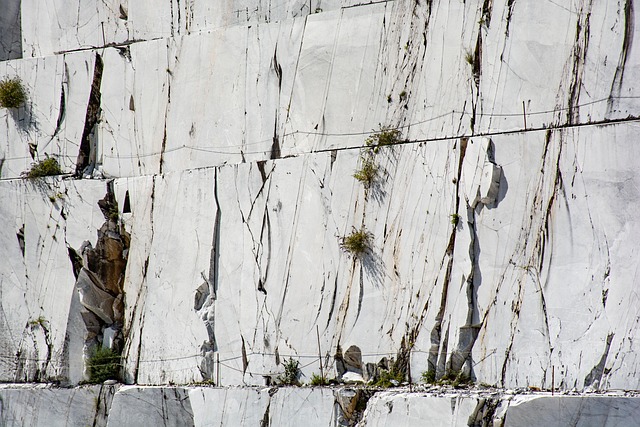 Free Marble Carrara photo and picture