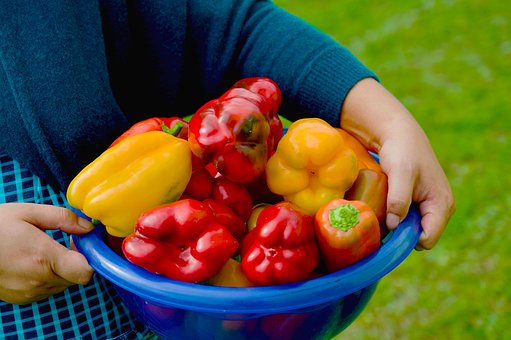 Free Bell Peppers Capsicum photo and picture