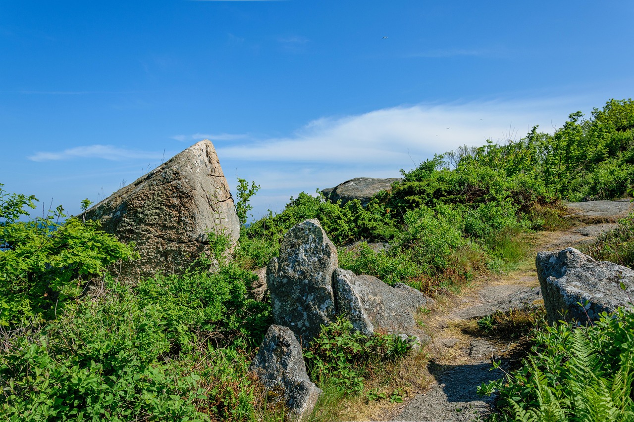 Trial Rocks Trail Cliff Landscape - Free photo on Pixabay - Pixabay