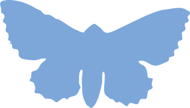 Free moth insect silhouette vector