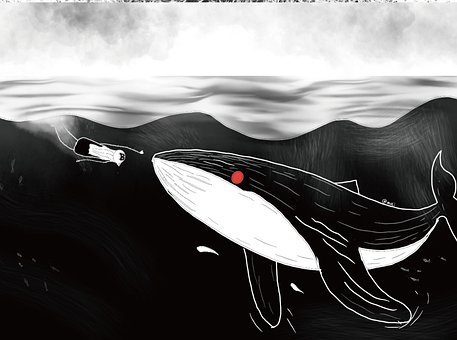 Hval, Mand, Ocean, Hav, Bølger