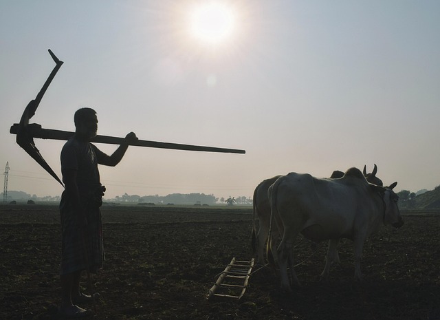 Free Traditional Farming photo and picture