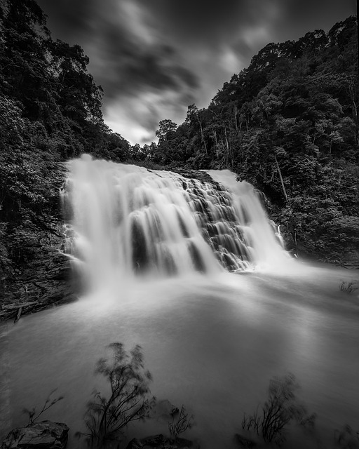 Free Waterfall India photo and picture