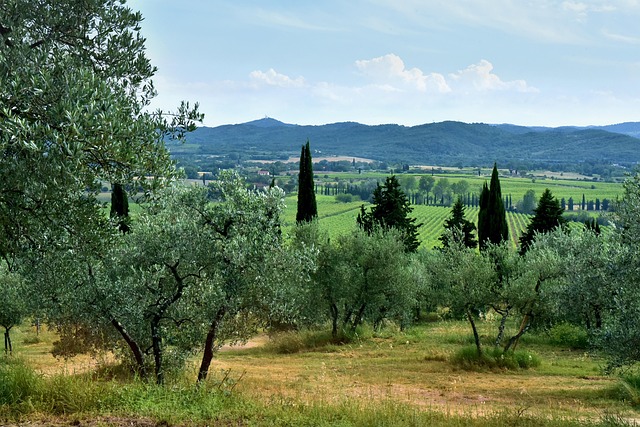 Fattoria, Italia, Paisaje, Naturaleza
