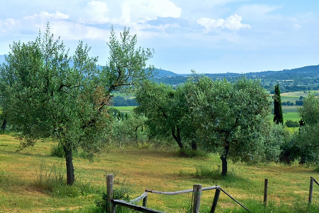 Toscana, Tuscany, Italia, Paisaje