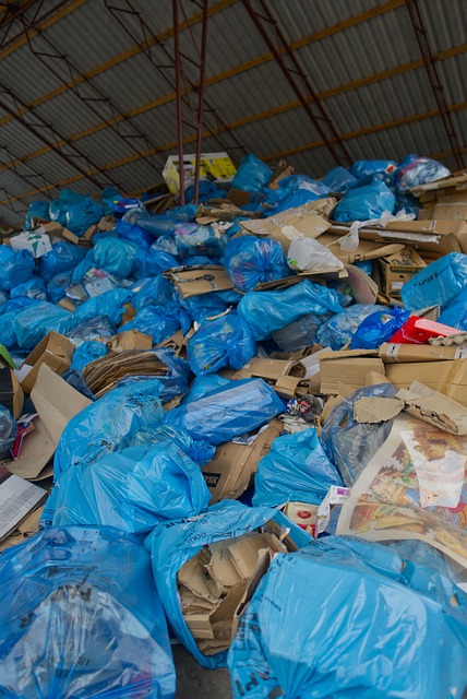 Papier, Sortierung, Abfall, Müll