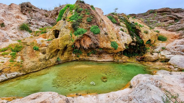 Free Salalah Dhofar photo and picture