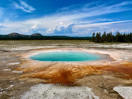 Free Yellowstone Yellow photo and picture
