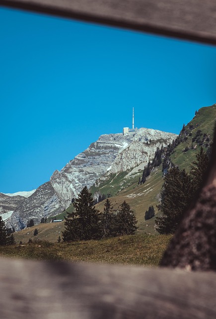 Berge, Gipfel, Bäume, Wiese, Wolken