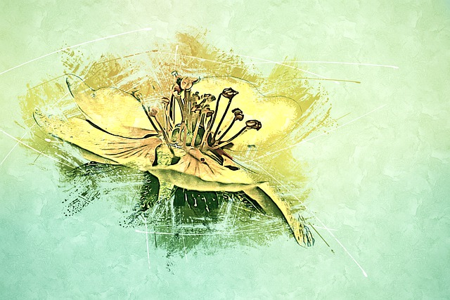 Free bulbous buttercup st anthony's turnip yellow flower illustration