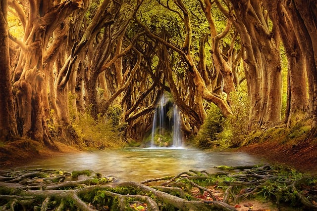 Free background landscape scenery illustration