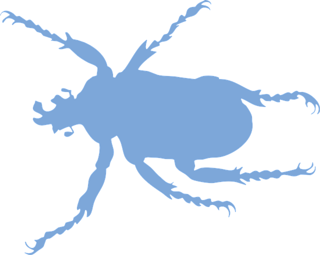 Free Bugs Vector Art - Download 527+ Bugs Icons & Graphics - Pixabay