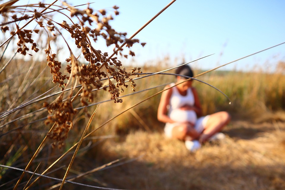 The Science Behind Gender Determination: What to Expect from Your Scan The Science Behind Gender Determination: What to Expect from Your Scan