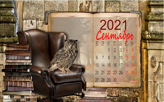 Kalender, Eule, 2021, Veranstaltung