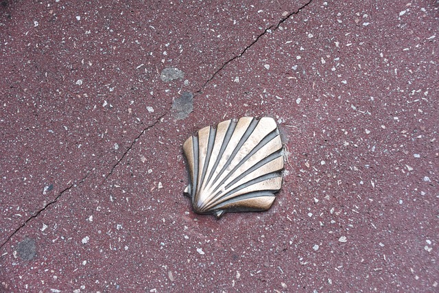 Frankreich, Saint Jacques Compostela