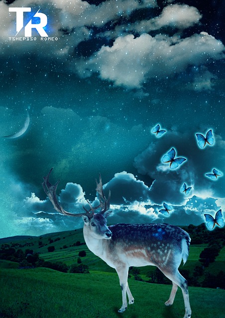 Tier, Nacht, Blau