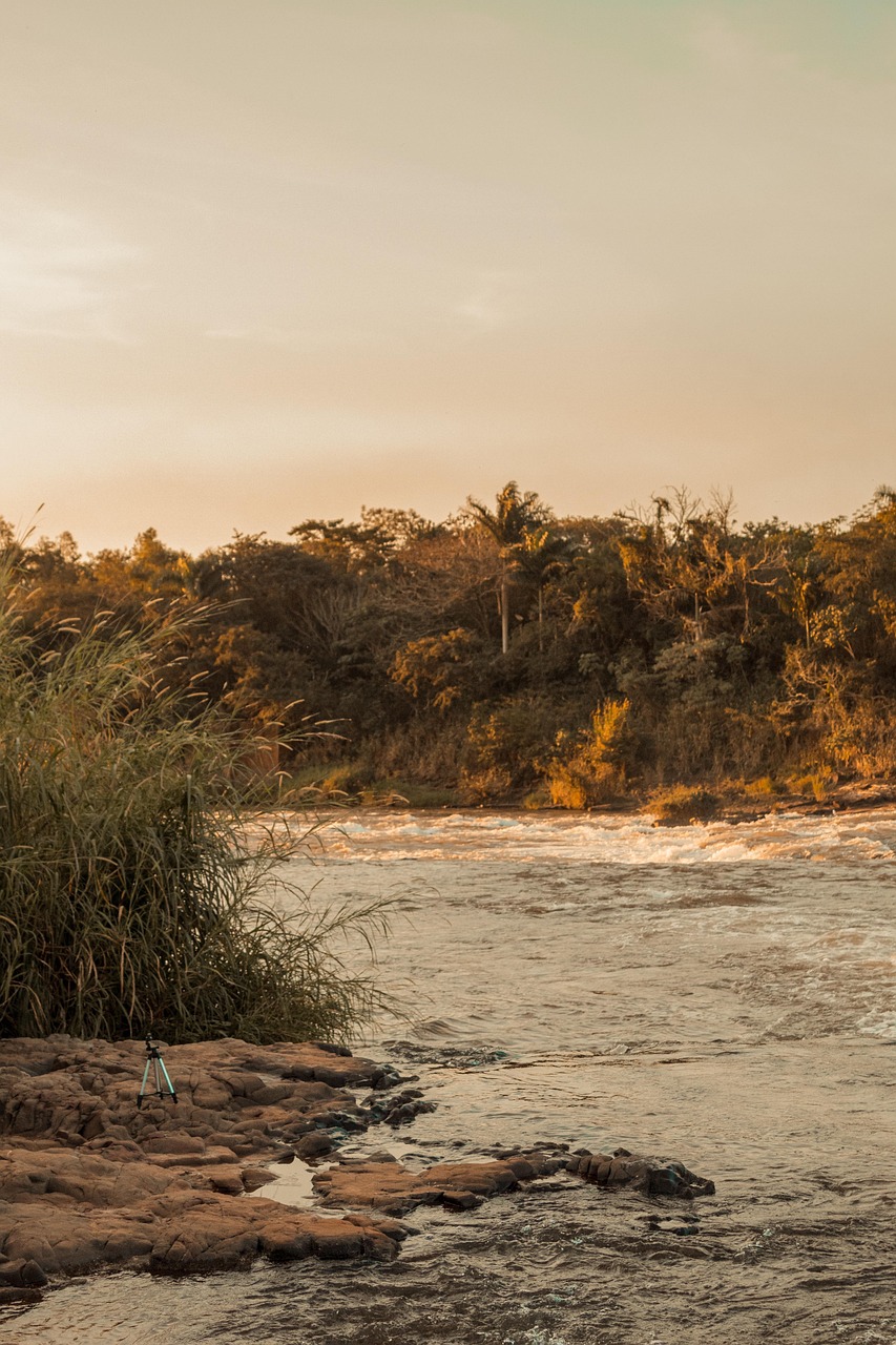 Mar Con Rio Rio Mar Natureza - Foto gratuita no Pixabay - Pixabay
