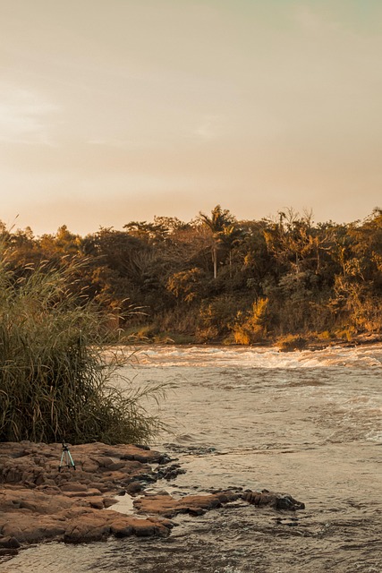 Free River Sea photo and picture