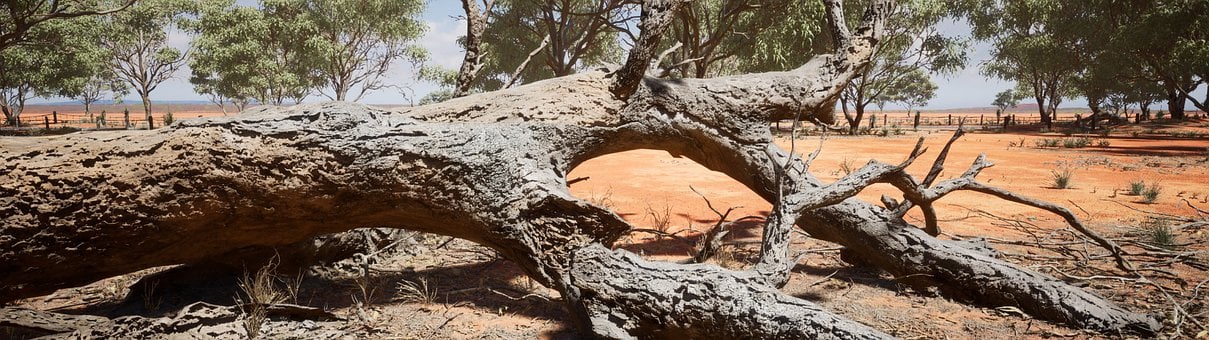 Peisaj, Australia, Natură, Vară, Tapet