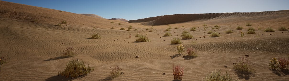Peisaj, Deşert, Nisip, Dune, A Ras La