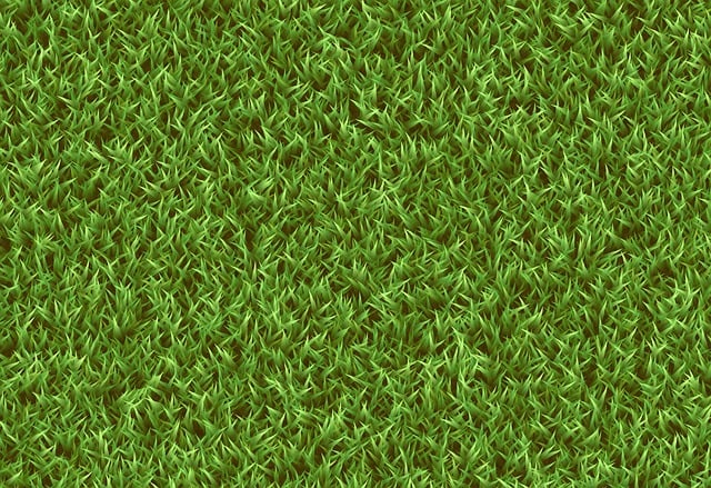 Free grass lawn nature illustration