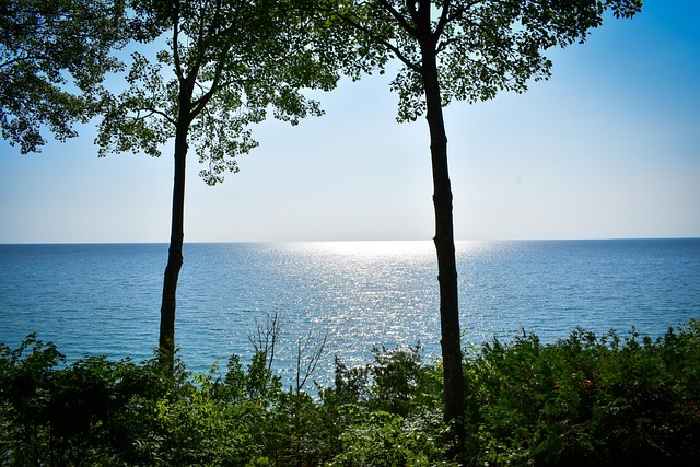 Free Lake Water photo and picture