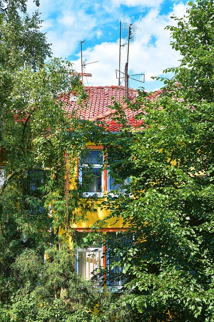 Haus, Gebäude, Alt, Gelb, Fenster