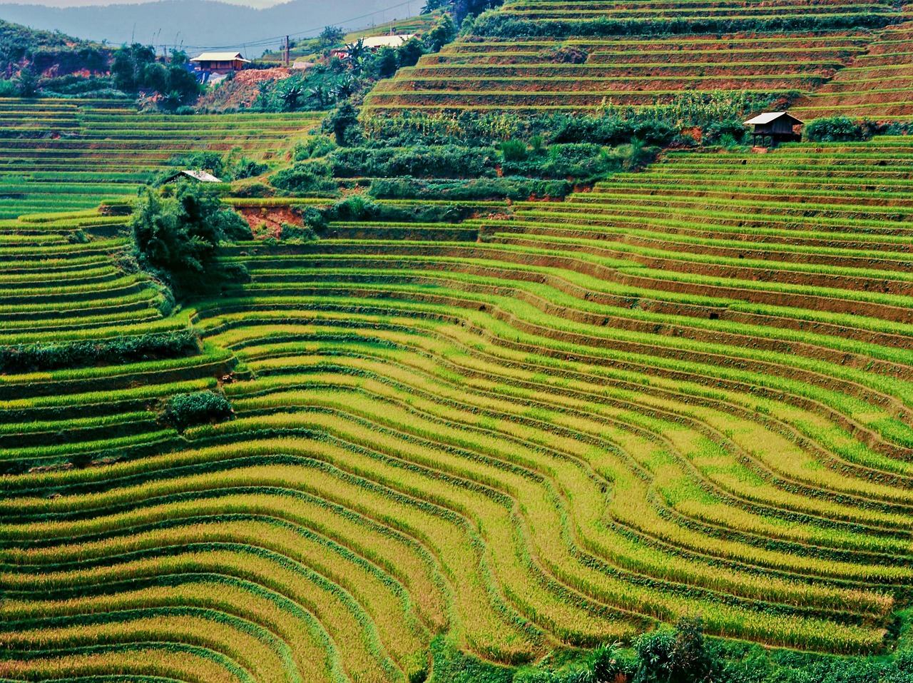 景观 农业 水稻梯田 - Pixabay上的免费照片 - Pixabay